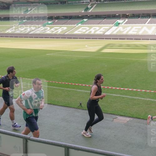 13.09.2026 - 21. swb-Marathon Bremen Michael Burmester http://msf.ph/oto/10337375 13.09.2026 13:14:03 Laufen im Stadion 183, 270, 278, 349, 460, 576, 600, 631, 695, 702, 768, 933, 950, 956, 1005, 1008, 1143, 1392, 1408, 1426, 1573, 1596, 1641, 1818, 1819, 1991, 2005, 2024, 2035, 2079, 2233, 2264, 2314, 2387, 2412, 2439, 2457, 2461, 2478, 2494, 2521, 2540, 2564, 2612, 2665, 2684, 2693, 2765, 2773, 2792, 2816, 2829, 2838, 2860, 2865, 2884, 2887, 2921, 2972, 2975, 2978, 3016, 3111, 3209, 3253, 3277, 3293, 3304, 3313, 3378, 3405, 3428, 3434, 3653, 3661, 3680, 4034, 4080, 4511 meine-sportfotos.de