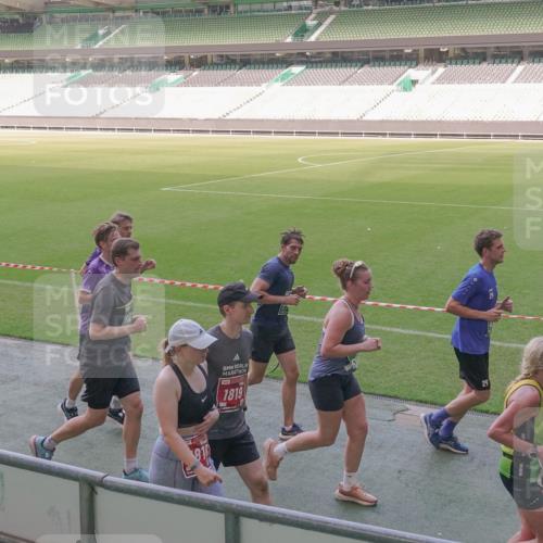 13.09.2026 - 21. swb-Marathon Bremen Michael Burmester http://msf.ph/oto/10338359 13.09.2026 13:16:02 Laufen im Stadion 134, 143, 153, 231, 263, 266, 271, 300, 414, 598, 612, 653, 990, 1047, 1185, 1312, 1465, 1539, 1825, 1874, 2013, 2218, 2235, 2259, 2351, 2359, 2363, 2381, 2385, 2386, 2466, 2468, 2484, 2494, 2562, 2579, 2664, 2667, 2678, 2690, 2691, 2698, 2737, 2760, 2778, 2783, 2797, 2799, 2846, 2859, 2861, 2865, 2874, 2958, 2974, 2996, 3001, 3075, 3133, 3157, 3165, 3185, 3237, 3265, 3331, 3355, 3366, 3382, 3387, 3486, 3501, 3512, 3670, 3680, 3829, 3847, 4034, 4080, 4511 meine-sportfotos.de