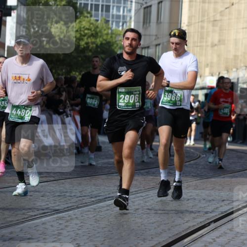13.09.2026 - 21. swb-Marathon Bremen Strokosch-Dieckow http://msf.ph/oto/10338411 13.09.2026 13:19:41 Ziel 189, 666, 1599, 2423, 2535, 3182, 3508, 4319, 4455, 4819, 5172, 5371, 6008, 6633, 7268, 7754, 7945, 8153, 9552, 9638, 9805, 161, 411, 461, 495, 1053, 1281, 1551, 1642, 1972, 2870, 2906, 3240, 3319, 3411, 3966, 4101, 4479, 4480, 7404, 7488, 7655, 8263, 9082, 9359, 9984, 13192 meine-sportfotos.de