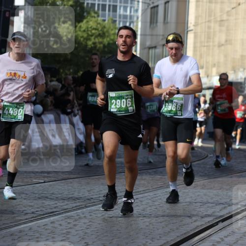 13.09.2026 - 21. swb-Marathon Bremen Strokosch-Dieckow http://msf.ph/oto/10338457 13.09.2026 13:19:41 Ziel 189, 666, 1599, 2423, 2535, 3182, 3508, 4319, 4455, 4819, 5172, 5371, 6008, 6633, 7268, 7754, 7945, 8153, 9552, 9638, 9805, 161, 411, 461, 495, 1053, 1281, 1551, 1642, 1972, 2870, 2906, 3240, 3319, 3411, 3966, 4101, 4479, 4480, 7404, 7488, 7655, 8263, 9082, 9359, 9984, 13192 meine-sportfotos.de