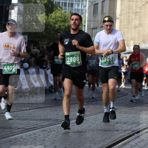 13.09.2026 - 21. swb-Marathon Bremen Strokosch-Dieckow http://msf.ph/oto/10338470 13.09.2026 13:19:41 Ziel 189, 666, 1599, 2423, 2535, 3182, 3508, 4319, 4455, 4819, 5172, 5371, 6008, 6633, 7268, 7754, 7945, 8153, 9552, 9638, 9805, 161, 411, 461, 495, 1053, 1281, 1551, 1642, 1972, 2870, 2906, 3240, 3319, 3411, 3966, 4101, 4479, 4480, 7404, 7488, 7655, 8263, 9082, 9359, 9984, 13192 meine-sportfotos.de