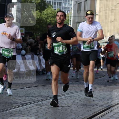 13.09.2026 - 21. swb-Marathon Bremen Strokosch-Dieckow http://msf.ph/oto/10338481 13.09.2026 13:19:41 Ziel 189, 666, 1599, 2423, 2535, 3182, 3508, 4319, 4455, 4819, 5172, 5371, 6008, 6633, 7268, 7754, 7945, 8153, 9552, 9638, 9805, 161, 411, 461, 495, 1053, 1281, 1551, 1642, 1972, 2870, 2906, 3240, 3319, 3411, 3966, 4101, 4479, 4480, 7404, 7488, 7655, 8263, 9082, 9359, 9984, 13192 meine-sportfotos.de