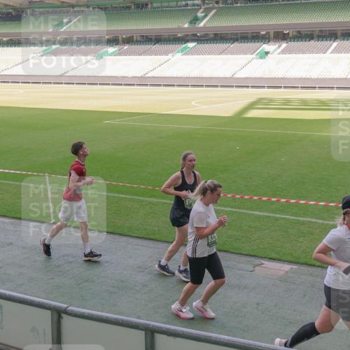 13.09.2026 - 21. swb-Marathon Bremen Michael Burmester http://msf.ph/oto/10339063 13.09.2026 13:17:52 Laufen im Stadion 134, 153, 267, 271, 311, 404, 449, 546, 588, 732, 753, 837, 990, 1057, 1424, 1425, 1539, 1790, 1813, 1825, 1844, 1868, 1987, 2056, 2067, 2096, 2123, 2137, 2259, 2294, 2357, 2358, 2363, 2381, 2389, 2419, 2453, 2532, 2550, 2562, 2586, 2601, 2614, 2647, 2655, 2778, 2797, 2821, 2849, 2857, 2879, 2880, 2893, 2984, 2996, 2999, 3096, 3100, 3104, 3146, 3180, 3195, 3210, 3213, 3314, 3337, 3366, 3421, 3431, 3476, 3479, 3501, 3506, 3537, 3548, 3633, 3654, 3740, 4478 meine-sportfotos.de