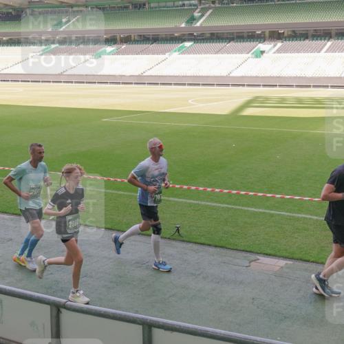 13.09.2026 - 21. swb-Marathon Bremen Michael Burmester http://msf.ph/oto/10339107 13.09.2026 13:17:57 Laufen im Stadion 134, 267, 271, 311, 404, 449, 486, 546, 588, 732, 753, 837, 990, 1057, 1424, 1425, 1790, 1813, 1825, 1844, 1868, 1987, 2056, 2067, 2096, 2123, 2137, 2259, 2294, 2357, 2358, 2381, 2389, 2419, 2453, 2532, 2550, 2562, 2586, 2601, 2614, 2647, 2655, 2797, 2821, 2849, 2857, 2879, 2880, 2893, 2984, 2996, 2999, 3096, 3100, 3104, 3146, 3180, 3195, 3210, 3213, 3314, 3337, 3366, 3421, 3431, 3476, 3479, 3501, 3506, 3537, 3548, 3633, 3654, 3740, 3879, 4478 meine-sportfotos.de