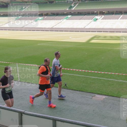 13.09.2026 - 21. swb-Marathon Bremen Michael Burmester http://msf.ph/oto/10339312 13.09.2026 13:18:36 Laufen im Stadion 311, 404, 486, 512, 546, 588, 732, 753, 837, 921, 1424, 1425, 1431, 1506, 1765, 1790, 1844, 1868, 2056, 2067, 2096, 2123, 2137, 2224, 2240, 2294, 2357, 2358, 2389, 2419, 2453, 2532, 2557, 2563, 2601, 2614, 2622, 2647, 2655, 2689, 2703, 2786, 2843, 2845, 2849, 2857, 2879, 2880, 2893, 2944, 2983, 2984, 2999, 3031, 3046, 3072, 3096, 3100, 3104, 3146, 3180, 3189, 3195, 3198, 3210, 3285, 3287, 3314, 3337, 3421, 3431, 3476, 3537, 3548, 3619, 3633, 3654, 3740, 3879, 4478 meine-sportfotos.de