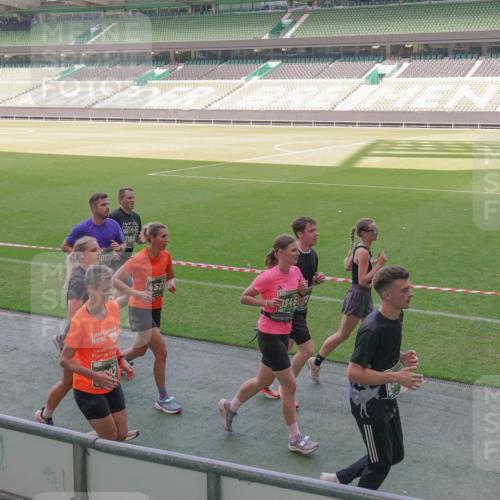 13.09.2026 - 21. swb-Marathon Bremen Michael Burmester http://msf.ph/oto/10339400 13.09.2026 13:18:51 Laufen im Stadion 311, 333, 404, 486, 512, 546, 732, 753, 837, 921, 938, 1156, 1424, 1425, 1431, 1506, 1765, 1790, 1844, 1868, 2056, 2123, 2137, 2224, 2240, 2294, 2315, 2357, 2358, 2419, 2453, 2557, 2563, 2601, 2614, 2622, 2647, 2689, 2702, 2703, 2722, 2786, 2843, 2845, 2849, 2857, 2879, 2880, 2893, 2944, 2983, 2984, 2999, 3031, 3046, 3072, 3096, 3100, 3146, 3180, 3189, 3198, 3210, 3285, 3287, 3337, 3421, 3431, 3476, 3537, 3548, 3619, 3633, 3654, 3740, 3879, 4478 meine-sportfotos.de