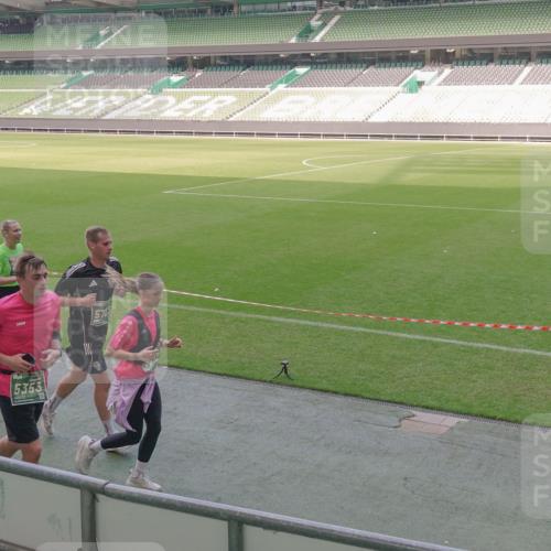 13.09.2026 - 21. swb-Marathon Bremen Michael Burmester http://msf.ph/oto/10339517 13.09.2026 13:19:11 Laufen im Stadion 311, 333, 404, 464, 486, 512, 546, 732, 753, 837, 921, 938, 1066, 1156, 1431, 1506, 1765, 1844, 1868, 1916, 2056, 2123, 2137, 2224, 2240, 2294, 2315, 2357, 2358, 2453, 2557, 2563, 2614, 2622, 2626, 2689, 2702, 2703, 2722, 2756, 2786, 2843, 2845, 2849, 2857, 2879, 2880, 2893, 2944, 2983, 2999, 3031, 3046, 3059, 3072, 3096, 3100, 3116, 3146, 3189, 3198, 3210, 3243, 3263, 3285, 3287, 3315, 3476, 3537, 3619, 3633, 3654, 3740, 3879, 4478 meine-sportfotos.de
