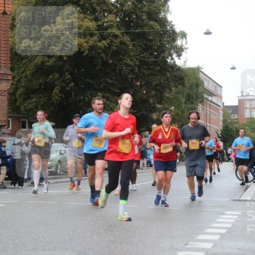 13.09.2026 - Kiel Lauf Markus Tischler http://msf.ph/oto/10339526 13.09.2026 11:02:00 Fleethörn 500, 9647, 5963, 7157, 10016 meine-sportfotos.de