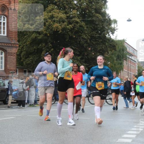 13.09.2026 - Kiel Lauf Markus Tischler http://msf.ph/oto/10339542 13.09.2026 11:02:03 Fleethörn 17, 4444, 6010, 567, 9987, 8149, 59 meine-sportfotos.de