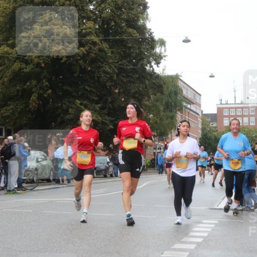 13.09.2026 - Kiel Lauf Markus Tischler http://msf.ph/oto/10339585 13.09.2026 11:02:11 Fleethörn 10679, 9330 meine-sportfotos.de