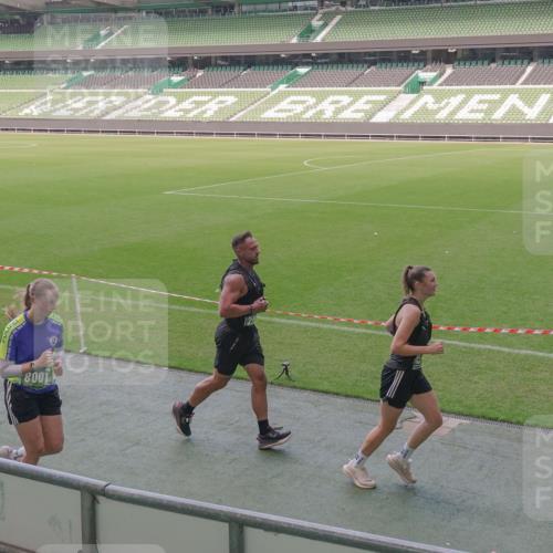 13.09.2026 - 21. swb-Marathon Bremen Michael Burmester http://msf.ph/oto/10339691 13.09.2026 13:19:29 Laufen im Stadion 333, 464, 486, 512, 546, 732, 753, 921, 938, 1066, 1129, 1156, 1431, 1506, 1756, 1765, 1815, 1868, 1916, 2028, 2123, 2137, 2224, 2240, 2294, 2315, 2357, 2358, 2453, 2533, 2557, 2563, 2614, 2622, 2626, 2689, 2694, 2695, 2702, 2703, 2722, 2756, 2786, 2843, 2845, 2849, 2857, 2879, 2880, 2944, 2983, 2999, 3031, 3046, 3059, 3072, 3096, 3100, 3116, 3189, 3198, 3243, 3263, 3264, 3285, 3287, 3310, 3315, 3476, 3537, 3619, 3740, 3879, 4478 meine-sportfotos.de