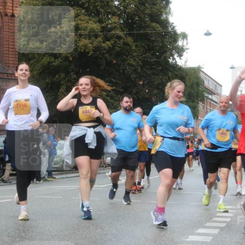 13.09.2026 - Kiel Lauf Markus Tischler http://msf.ph/oto/10339740 13.09.2026 11:02:39 Fleethörn 444, 7716, 6447, 605, 5888, 502, 3122 meine-sportfotos.de