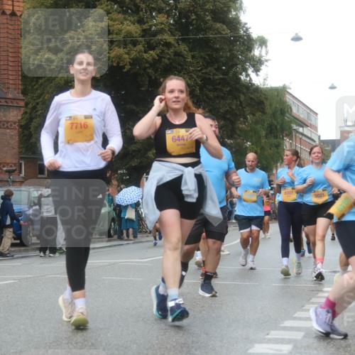 13.09.2026 - Kiel Lauf Markus Tischler http://msf.ph/oto/10339743 13.09.2026 11:02:39 Fleethörn 444, 80, 7716, 6447, 6307, 5021, 9589 meine-sportfotos.de