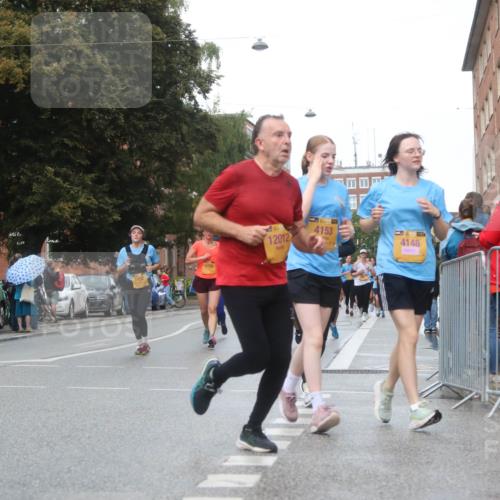 13.09.2026 - Kiel Lauf Markus Tischler http://msf.ph/oto/10339854 13.09.2026 11:03:04 Fleethörn 449, 12012, 4153, 4148 meine-sportfotos.de