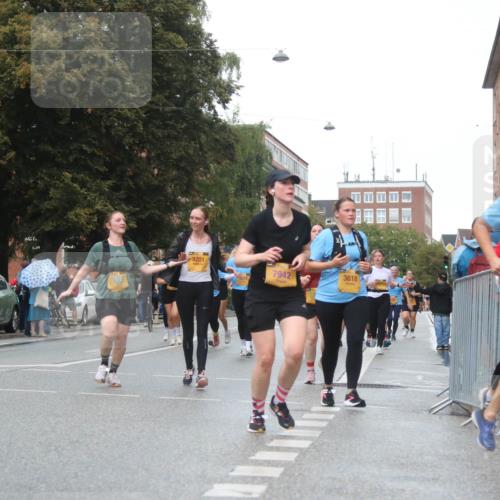 13.09.2026 - Kiel Lauf Markus Tischler http://msf.ph/oto/10339899 13.09.2026 11:03:19 Fleethörn 3201, 7942, 3618, 4058, 10841 meine-sportfotos.de