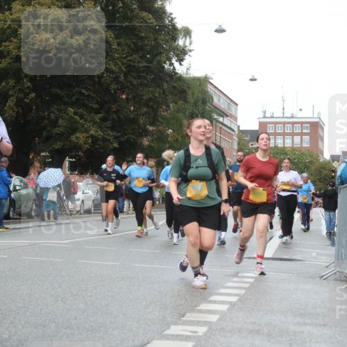13.09.2026 - Kiel Lauf Markus Tischler http://msf.ph/oto/10339908 13.09.2026 11:03:21 Fleethörn 100, 4058, 2781, 3618 meine-sportfotos.de