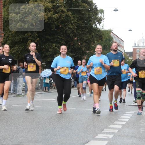 13.09.2026 - Kiel Lauf Markus Tischler http://msf.ph/oto/10339932 13.09.2026 11:03:26 Fleethörn 8295, 5, 560, 4614, 11372, 799 meine-sportfotos.de