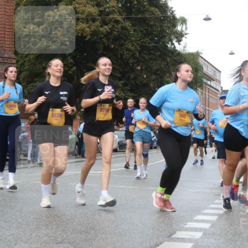 13.09.2026 - Kiel Lauf Markus Tischler http://msf.ph/oto/10339941 13.09.2026 11:03:27 Fleethörn 12649, 5229, 8295, 461, 560, 11372 meine-sportfotos.de