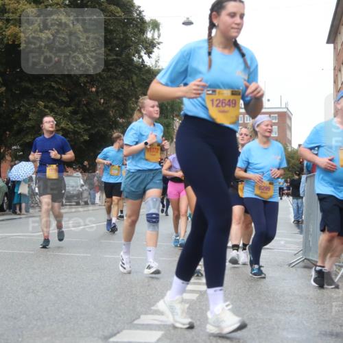 13.09.2026 - Kiel Lauf Markus Tischler http://msf.ph/oto/10339952 13.09.2026 11:03:29 Fleethörn 1372, 12649, 8299, 5435 meine-sportfotos.de