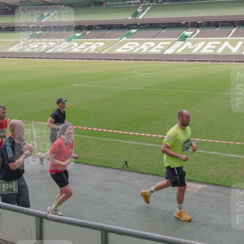 13.09.2026 - 21. swb-Marathon Bremen Michael Burmester http://msf.ph/oto/10339993 13.09.2026 13:20:09 Laufen im Stadion 333, 464, 512, 704, 921, 938, 1066, 1129, 1156, 1409, 1431, 1439, 1446, 1506, 1697, 1756, 1765, 1815, 1846, 1916, 2010, 2028, 2064, 2139, 2201, 2224, 2240, 2278, 2315, 2349, 2394, 2395, 2417, 2437, 2501, 2519, 2533, 2557, 2563, 2588, 2622, 2626, 2689, 2694, 2695, 2702, 2703, 2722, 2756, 2786, 2793, 2843, 2845, 2886, 2944, 2983, 3004, 3017, 3018, 3031, 3035, 3036, 3037, 3046, 3059, 3072, 3102, 3116, 3139, 3189, 3198, 3243, 3263, 3264, 3285, 3287, 3310, 3315, 3619 meine-sportfotos.de