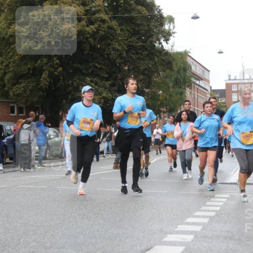 13.09.2026 - Kiel Lauf Markus Tischler http://msf.ph/oto/10340107 13.09.2026 11:04:04 Fleethörn 8704, 5565, 10977, 2096 meine-sportfotos.de