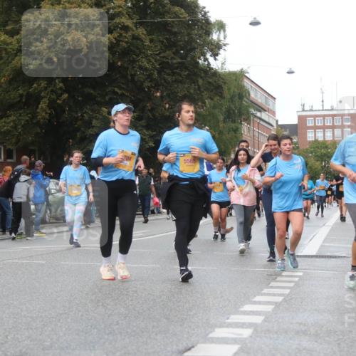 13.09.2026 - Kiel Lauf Markus Tischler http://msf.ph/oto/10340110 13.09.2026 11:04:04 Fleethörn 5565, 219, 10977 meine-sportfotos.de