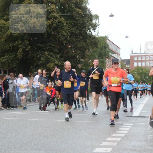13.09.2026 - Kiel Lauf Markus Tischler http://msf.ph/oto/10340146 13.09.2026 11:04:15 Fleethörn 3213, 4312, 10762 meine-sportfotos.de