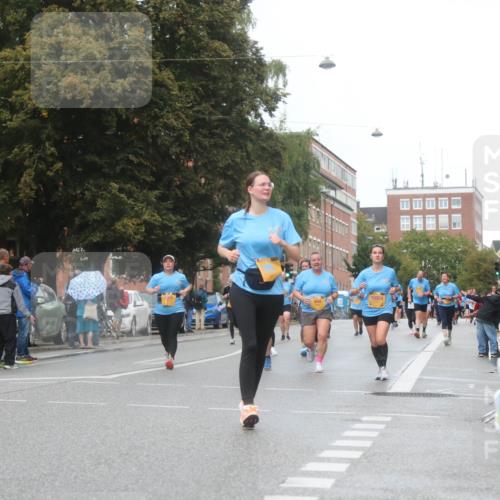 13.09.2026 - Kiel Lauf Markus Tischler http://msf.ph/oto/10340236 13.09.2026 11:04:30 Fleethörn 660, 10924 meine-sportfotos.de