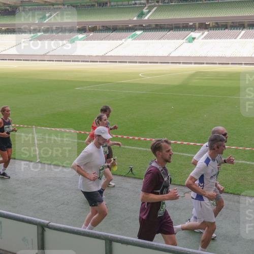 13.09.2026 - 21. swb-Marathon Bremen Michael Burmester http://msf.ph/oto/10340264 13.09.2026 13:20:41 Laufen im Stadion 333, 423, 464, 512, 620, 704, 782, 938, 1066, 1129, 1156, 1158, 1177, 1316, 1409, 1439, 1446, 1676, 1697, 1756, 1808, 1815, 1846, 1916, 2010, 2028, 2064, 2139, 2201, 2240, 2258, 2278, 2315, 2349, 2394, 2395, 2414, 2417, 2437, 2501, 2519, 2533, 2551, 2588, 2626, 2689, 2694, 2695, 2702, 2703, 2722, 2736, 2756, 2793, 2828, 2886, 2954, 3004, 3010, 3017, 3018, 3035, 3036, 3037, 3059, 3070, 3074, 3102, 3116, 3139, 3144, 3243, 3263, 3264, 3310, 3315 meine-sportfotos.de