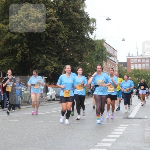 13.09.2026 - Kiel Lauf Markus Tischler http://msf.ph/oto/10340265 13.09.2026 11:04:37 Fleethörn 11, 9729, 2940, 11015, 356 meine-sportfotos.de