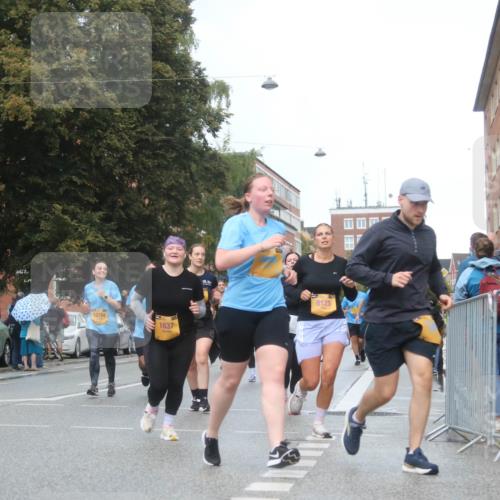 13.09.2026 - Kiel Lauf Markus Tischler http://msf.ph/oto/10340310 13.09.2026 11:04:44 Fleethörn 12184, 1637, 9125 meine-sportfotos.de