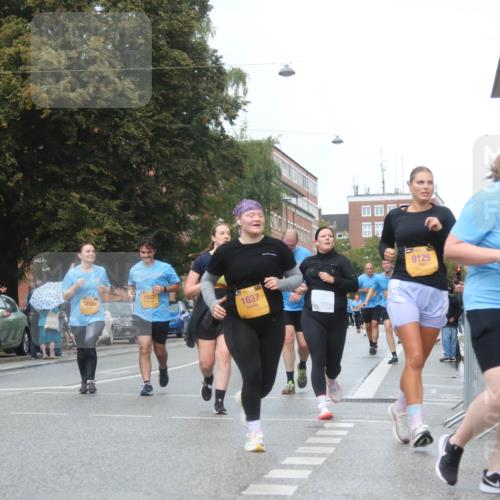 13.09.2026 - Kiel Lauf Markus Tischler http://msf.ph/oto/10340314 13.09.2026 11:04:45 Fleethörn 12184, 1587, 1637, 9125 meine-sportfotos.de