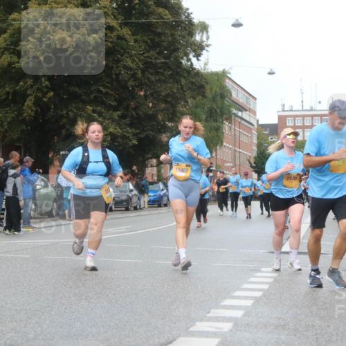 13.09.2026 - Kiel Lauf Markus Tischler http://msf.ph/oto/10340380 13.09.2026 11:05:03 Fleethörn 1, 500, 1, 38, 11407, 21, 20 meine-sportfotos.de