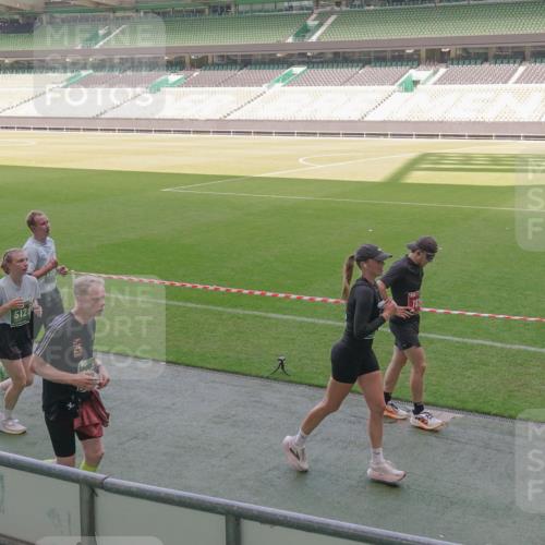 13.09.2026 - 21. swb-Marathon Bremen Michael Burmester http://msf.ph/oto/10340395 13.09.2026 13:20:59 Laufen im Stadion 258, 351, 423, 441, 464, 601, 620, 704, 782, 851, 1060, 1066, 1094, 1129, 1156, 1158, 1177, 1316, 1409, 1439, 1446, 1518, 1676, 1697, 1756, 1808, 1815, 1846, 1916, 2010, 2028, 2064, 2139, 2201, 2258, 2278, 2349, 2394, 2395, 2414, 2417, 2437, 2501, 2519, 2533, 2551, 2588, 2626, 2694, 2695, 2702, 2722, 2736, 2756, 2793, 2828, 2886, 2954, 2995, 3004, 3010, 3017, 3018, 3022, 3034, 3035, 3036, 3037, 3059, 3070, 3074, 3102, 3116, 3139, 3144, 3225, 3243, 3263, 3264, 3310, 3315 meine-sportfotos.de