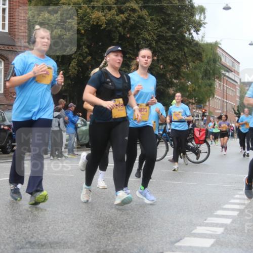 13.09.2026 - Kiel Lauf Markus Tischler http://msf.ph/oto/10340428 13.09.2026 11:05:16 Fleethörn 4444, 36, 1833, 5856 meine-sportfotos.de