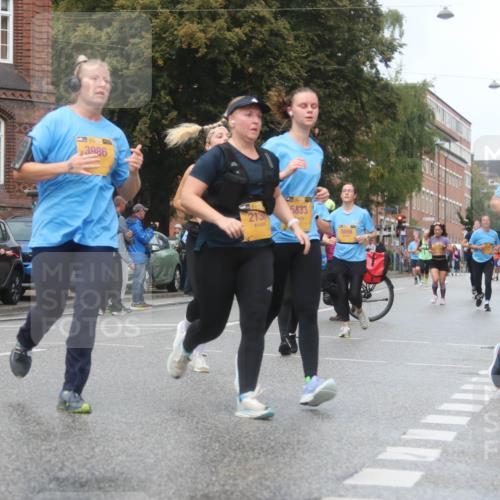 13.09.2026 - Kiel Lauf Markus Tischler http://msf.ph/oto/10340431 13.09.2026 11:05:16 Fleethörn 4444, 3986, 213, 5833, 5856, 1951 meine-sportfotos.de