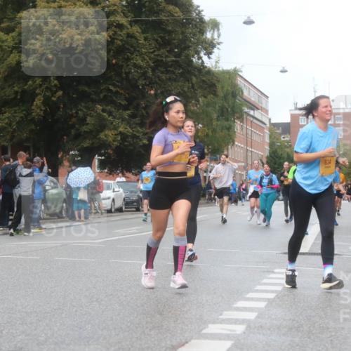 13.09.2026 - Kiel Lauf Markus Tischler http://msf.ph/oto/10340449 13.09.2026 11:05:25 Fleethörn 11, 11, 834 meine-sportfotos.de