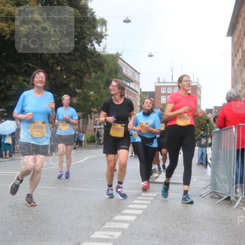 13.09.2026 - Kiel Lauf Markus Tischler http://msf.ph/oto/10340533 13.09.2026 11:05:55 Fleethörn 2250, 9995, 11674, 12334 meine-sportfotos.de