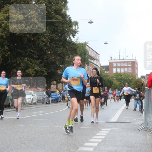 13.09.2026 - Kiel Lauf Markus Tischler http://msf.ph/oto/10340606 13.09.2026 11:06:23 Fleethörn 1170, 11442, 9800, 3752 meine-sportfotos.de