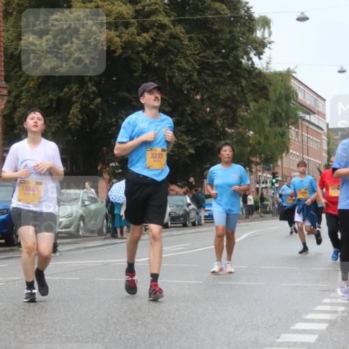 13.09.2026 - Kiel Lauf Markus Tischler http://msf.ph/oto/10340751 13.09.2026 11:07:13 Fleethörn 11884, 3227, 12008, 2630, 3086, 12016 meine-sportfotos.de