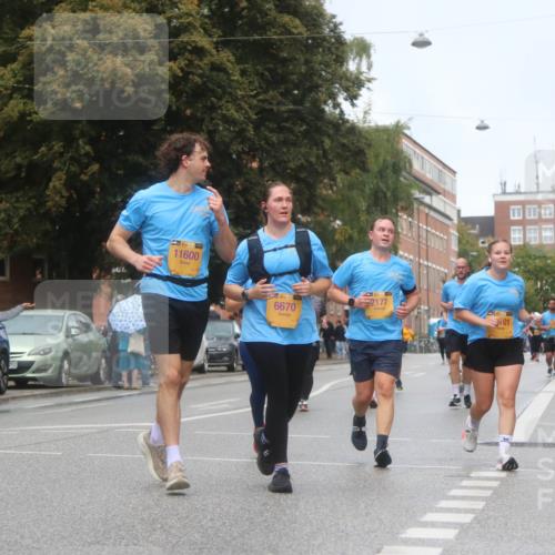13.09.2026 - Kiel Lauf Markus Tischler http://msf.ph/oto/10340840 13.09.2026 11:07:48 Fleethörn 39, 11600, 39, 6670, 2177, 01 meine-sportfotos.de