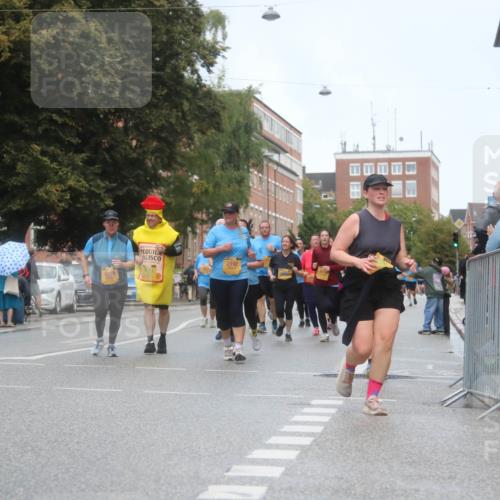 13.09.2026 - Kiel Lauf Markus Tischler http://msf.ph/oto/10340896 13.09.2026 11:08:06 Fleethörn 702, 1079, 2192 meine-sportfotos.de