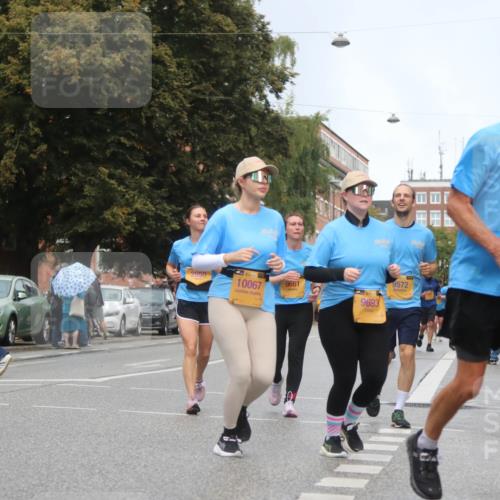 13.09.2026 - Kiel Lauf Markus Tischler http://msf.ph/oto/10340981 13.09.2026 11:08:29 Fleethörn 2950, 10067, 9661, 9693, 9572, 6965 meine-sportfotos.de
