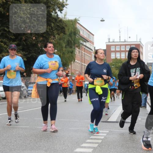 13.09.2026 - Kiel Lauf Markus Tischler http://msf.ph/oto/10341056 13.09.2026 11:09:05 Fleethörn 39, 11756, 4461, 4899, 2845, 5, 394, 9260 meine-sportfotos.de