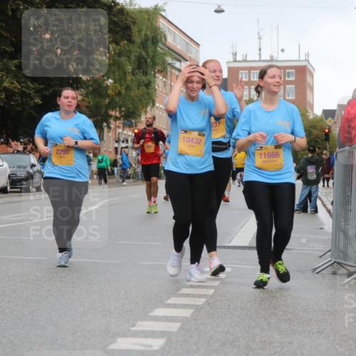 13.09.2026 - Kiel Lauf Markus Tischler http://msf.ph/oto/10341237 13.09.2026 11:10:24 Fleethörn 12234, 2290, 237, 10432, 11666 meine-sportfotos.de