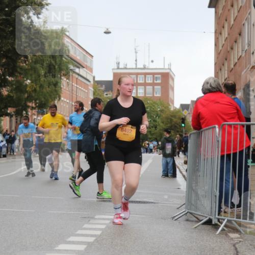 13.09.2026 - Kiel Lauf Markus Tischler http://msf.ph/oto/10341276 13.09.2026 11:10:46 Fleethörn 8492 meine-sportfotos.de