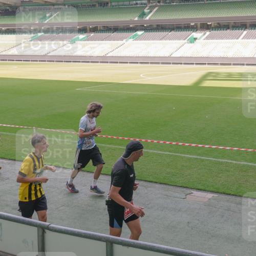 13.09.2026 - 21. swb-Marathon Bremen Michael Burmester http://msf.ph/oto/10341783 13.09.2026 13:24:14 Laufen im Stadion 137, 182, 213, 294, 324, 434, 505, 533, 548, 609, 708, 721, 723, 739, 743, 752, 892, 1178, 1273, 1331, 1463, 1471, 1491, 1515, 1597, 1598, 1746, 1788, 1944, 2095, 2211, 2213, 2252, 2267, 2286, 2312, 2323, 2433, 2445, 2465, 2475, 2483, 2495, 2497, 2503, 2526, 2554, 2571, 2644, 2768, 2776, 2936, 2968, 3211, 3252, 3282, 3288, 3289, 3292, 3298, 3306, 3312, 3347, 3364, 3381, 3395, 3423, 3447, 3505, 3559, 3727, 3770, 3819, 4054, 4231, 4466, 4467 meine-sportfotos.de