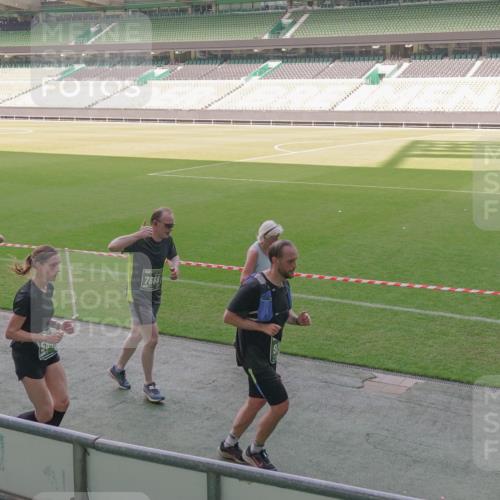 13.09.2026 - 21. swb-Marathon Bremen Michael Burmester http://msf.ph/oto/10342225 13.09.2026 13:25:16 Laufen im Stadion 137, 182, 213, 294, 505, 530, 543, 548, 645, 721, 723, 739, 743, 752, 815, 818, 966, 1273, 1283, 1410, 1443, 1459, 1463, 1471, 1487, 1491, 1504, 1515, 1530, 1561, 1618, 1744, 1828, 1830, 1944, 1953, 2058, 2059, 2095, 2211, 2252, 2267, 2271, 2298, 2308, 2312, 2323, 2354, 2382, 2384, 2465, 2483, 2497, 2503, 2506, 2554, 2571, 2591, 2644, 2675, 2752, 2762, 2776, 2833, 2878, 2896, 2981, 3005, 3062, 3097, 3142, 3172, 3211, 3259, 3289, 3298, 3306, 3312, 3329, 3381, 3390 meine-sportfotos.de