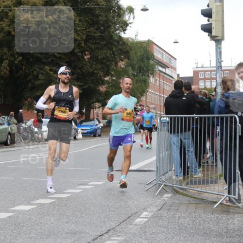 13.09.2026 - Kiel Lauf Markus Tischler http://msf.ph/oto/10342383 13.09.2026 11:30:10 Fleethörn 3366, 949 meine-sportfotos.de
