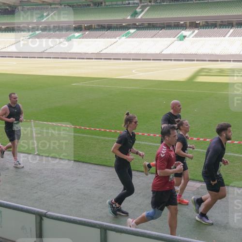 13.09.2026 - 21. swb-Marathon Bremen Michael Burmester http://msf.ph/oto/10342431 13.09.2026 13:25:45 Laufen im Stadion 202, 213, 294, 505, 530, 543, 548, 645, 723, 815, 818, 966, 1077, 1283, 1410, 1443, 1459, 1463, 1473, 1487, 1491, 1504, 1515, 1530, 1561, 1618, 1744, 1828, 1830, 1953, 2058, 2059, 2095, 2211, 2267, 2271, 2298, 2308, 2312, 2323, 2354, 2382, 2384, 2497, 2506, 2508, 2554, 2558, 2576, 2591, 2592, 2644, 2656, 2675, 2752, 2762, 2817, 2833, 2878, 2896, 2970, 2981, 3005, 3047, 3062, 3097, 3142, 3172, 3211, 3259, 3298, 3306, 3329, 3359, 3381, 3390, 3433, 3629, 3851 meine-sportfotos.de